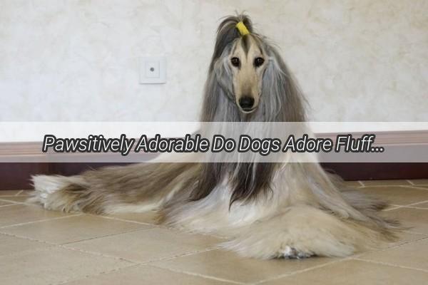 Pawsitively Adorable Do Dogs Adore Fluffy Hair Clips A Heartwarming Tale